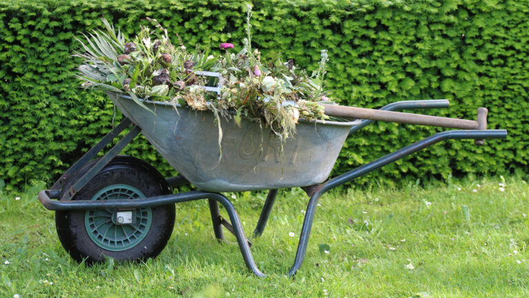 tuinman